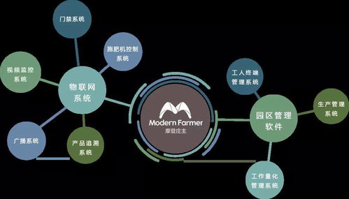 智慧沃土 物联网技术赋能新型农业科技园的创新实践与启示